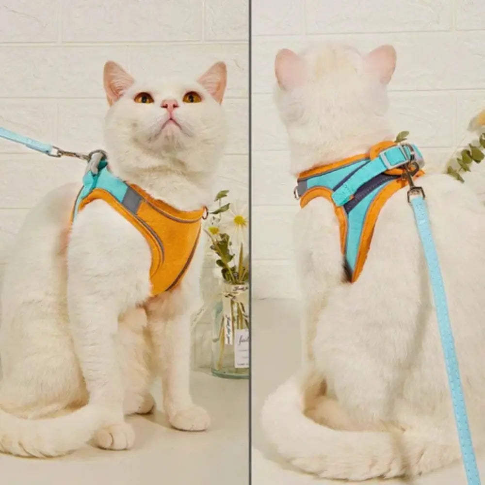 Anti-Runaway Cat Harness