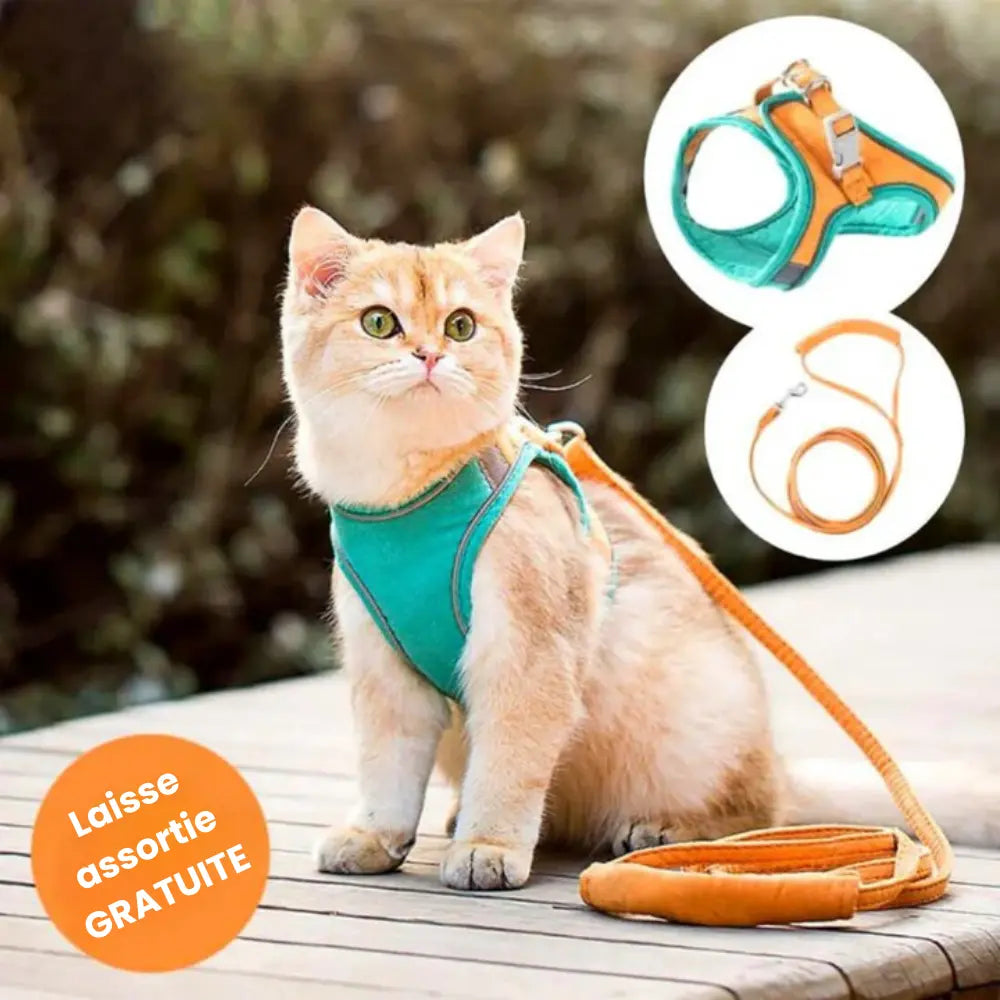 Anti-Runaway Cat Harness