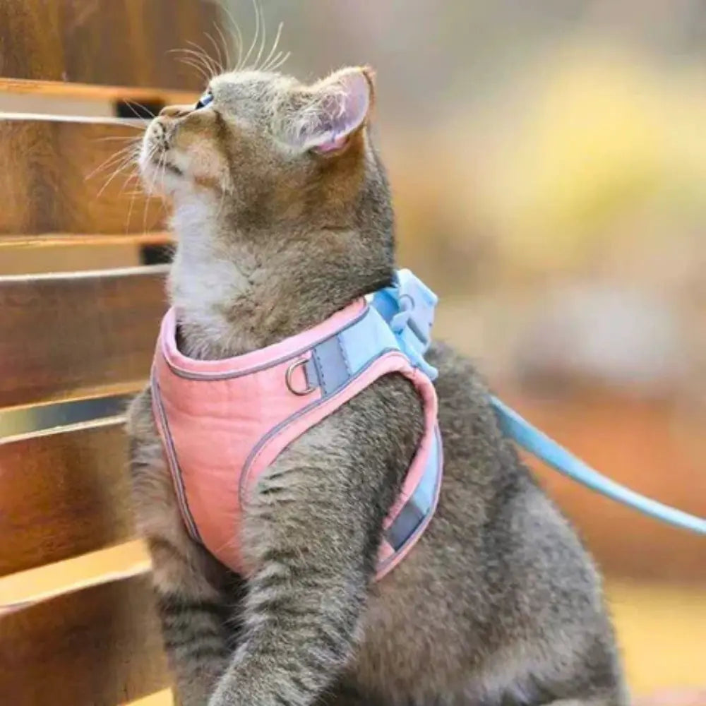 Anti-Runaway Cat Harness