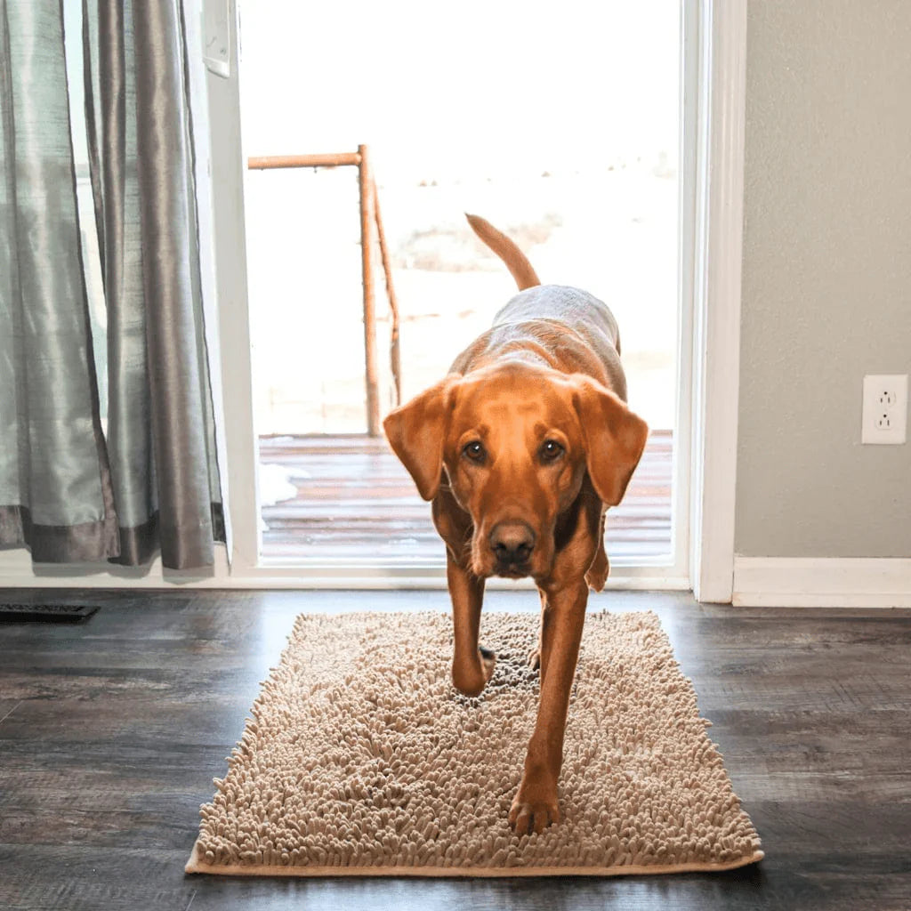 Carpet CleanPattoune™