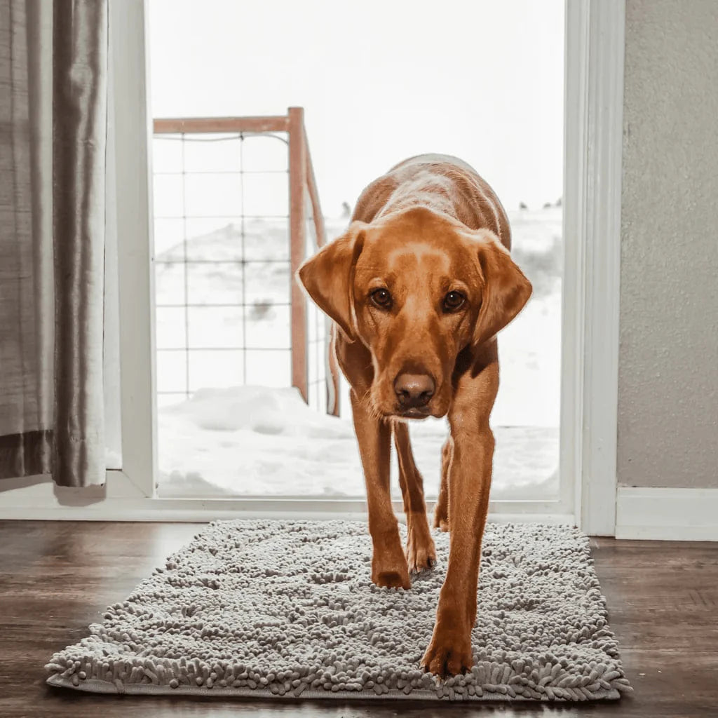 Carpet CleanPattoune™