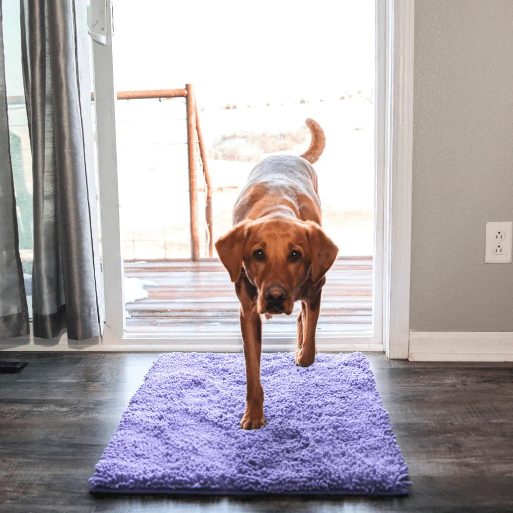 Carpet CleanPattoune™