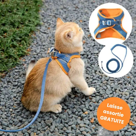Anti-Runaway Cat Harness