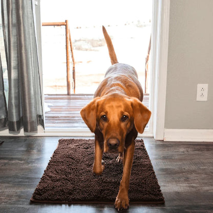 Carpet CleanPattoune™