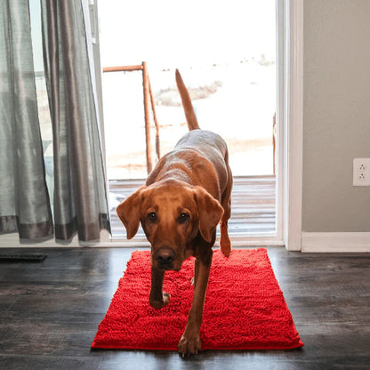 Carpet CleanPattoune™